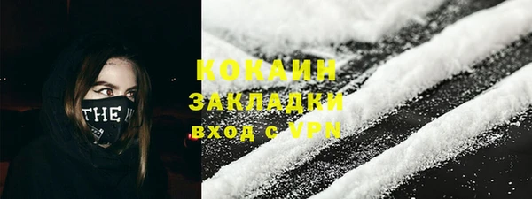 стаф Алексин