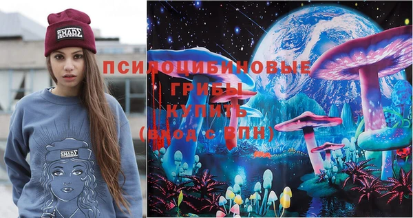 PSILOCYBIN Абаза