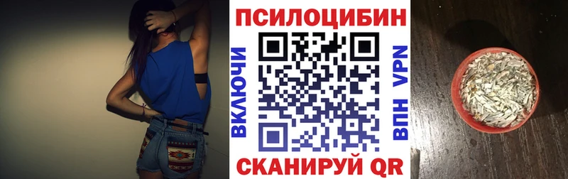mega онион  Бежецк  Псилоцибиновые грибы Psilocybe  магазин  наркотиков 